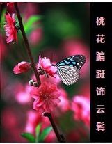 情花問情