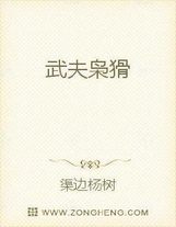 穿行宋末
