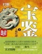 我的女友是特工